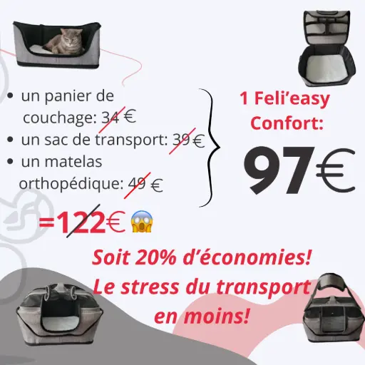 économisez de l'argent avec feli'easy économisez de l'argent avec feli'easy